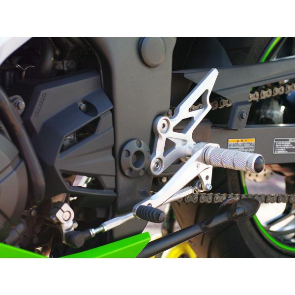 WR’S ダブルアールズ バトルステップ 1ポジションタイプ カラー：シルバーアルマイト Ninja...