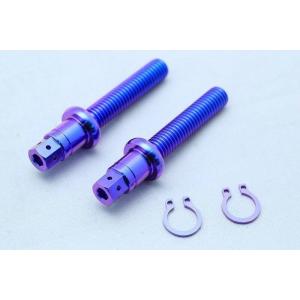 T2 Racing T2レーシング チタンチェーンアジャスターボルトセット カラー：ブルー NSR2...
