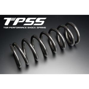 TGR TECHNIX GEAR TGRテクニクスギア ハードスプリング フロント
