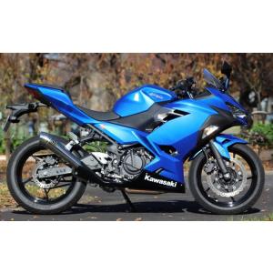 パワーボックス メガホン マフラー SP忠男（SP TADAO） Ninja250