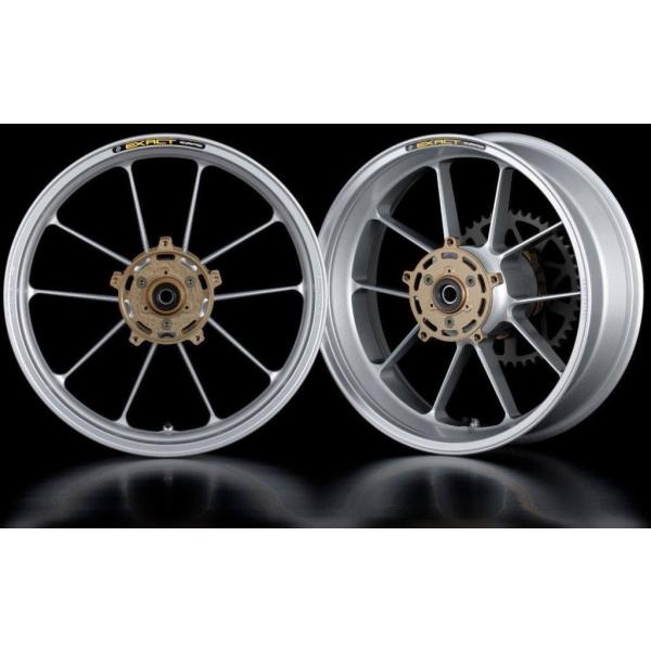 ADVANTAGE アドバンテージ EXACT [イグザクト] RACING 10 フル鍛造マグネシ...