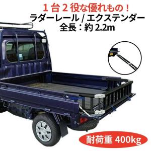 PRO SKILL プロスキル エンデューロサイレンサー Dトラッカー KLX250SR