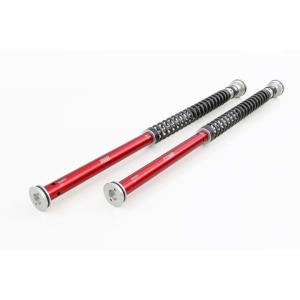 YSS ワイエスエス フロントフォークカートリッジキット Ninja250 Ninja400 KAW...