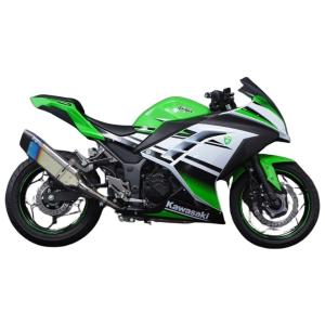 TRICKSTER トリックスター レーシングスリップオンマフラー イカヅチ