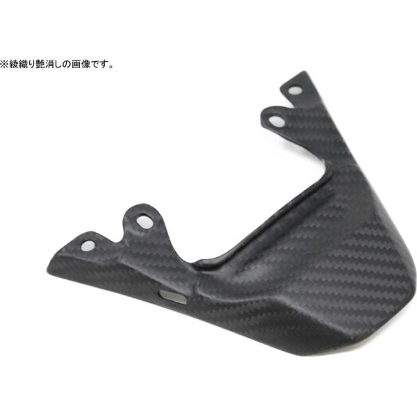 SPEEDRA スピードラ テールライトカバー タイプ：綾織り／艶あり ZX-6R KAWASAKI...