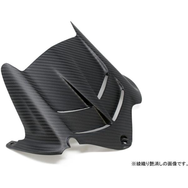 SPEEDRA スピードラ リアフェンダー タイプ：綾織り／艶あり ZX-6R KAWASAKI カ...