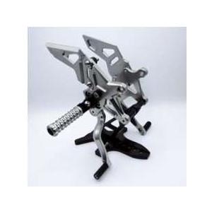 Fakie ファーキー Rearset [バックステップ] カラー：チタニウム ZX-10R KAW...