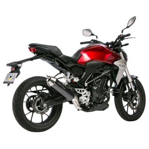 AKRAPOVIC アクラポビッチ スリップオンラインマフラー CB250R