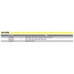 RK JAPAN RKジャパン GCレーシング...の詳細画像2