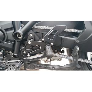 COERCE（コワース） レーシングステップ カラー：シルバー SR500 SR400