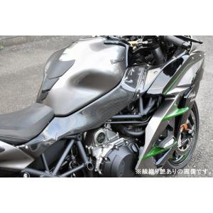 TSR テクニカルスポーツレーシング カーボンリヤフェンダー VFR800F