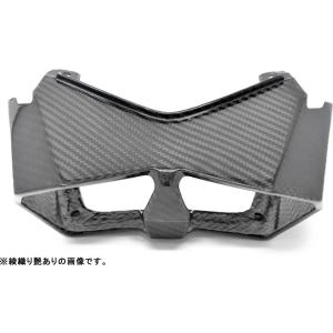 KAWASAKI Ninja H2 SX/Ninja SX SE テールライトカバー SPEEDRA