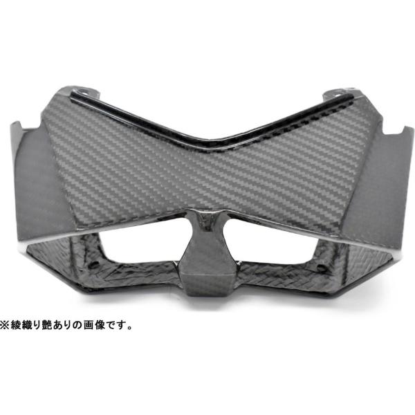 SPEEDRA スピードラ テールライトカバー ドライカーボン タイプ：綾織り艶あり Ninja H...