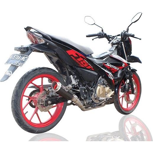 Pro Liner プロライナー TR1 R カーボン フルエキゾーストマフラー タイプ：TR1 シ...