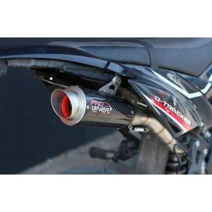 AKRAPOVIC（アクラポビッチ） レーシングライン フルエキゾースト YZF