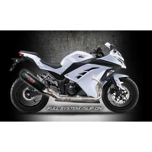 BEAMS（ビームス） BEAMS R-EVO ヒートチタン Ninja250 2013〜2017 JBK