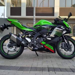 PROSPEED（プロスピード） フルシステムエキゾーストマフラー パイソン