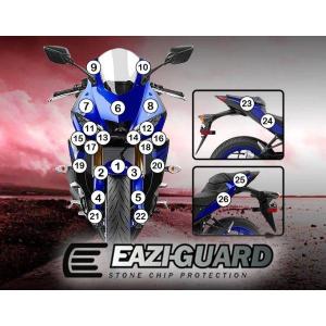 EAZI-GUARD イージーガード 車種別ストーンチッププロテクションフィルム カラー：グロスサーフェイス(艶あり) F900XR BMW 外装