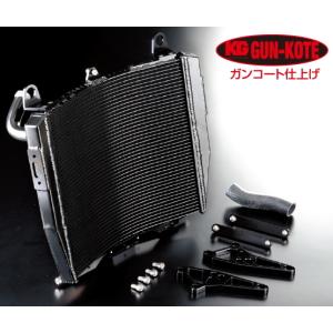 GPZ900Rヘッドカバー wideopen_kawa076