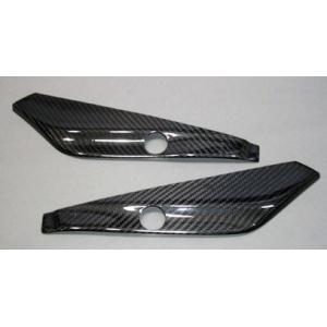 A-TECH エーテック ヒールプレート タイプ：ドライカーボンケブラー(DCK) GPZ750R ...