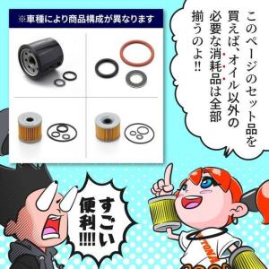DAYTONA デイトナ リプレイス オイルフ...の詳細画像3