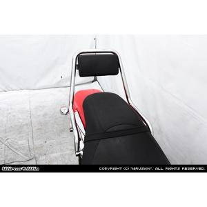 ◇新品U-CP エリミネーター250V/ELIMINATOR250V(全年式)ステンレス