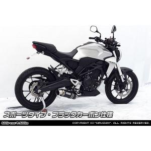 AKRAPOVIC（アクラポビッチ） Evolution Line フルエキゾースト