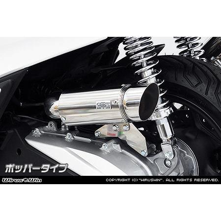 WirusWin ウイルズウィン サイレンサー型 エアクリーナーキット 吸気口形状：ポッパータイプ ...
