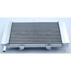 nsrmini ラジエータ ファインビークル】NSRminiボルトオンFVラジエター : ALPHINブログ
