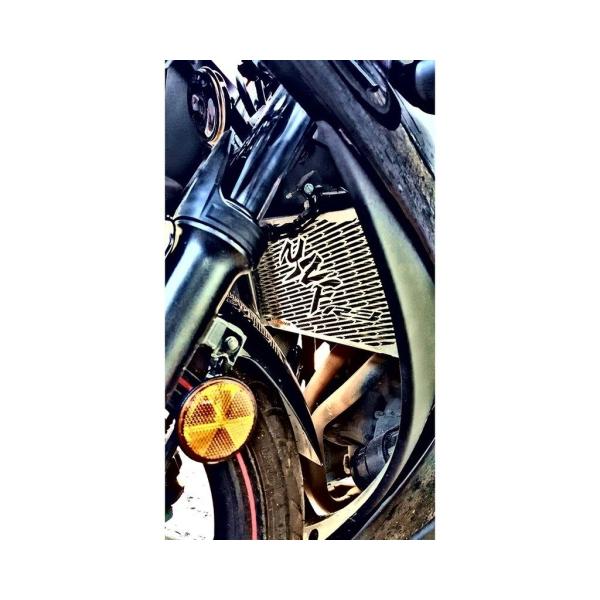 GUARDO ガルドー Stainless Steel Radiator Guard YZF-R3 ...