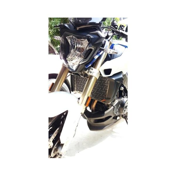 GUARDO ガルドー Stainless Steel Radiator Guard F800R B...