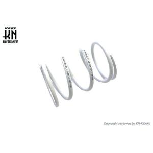 KN企画 ケイエヌキカク 【KAISOKU】強化センタースプリング レート：1500rpm(ウルトラ...