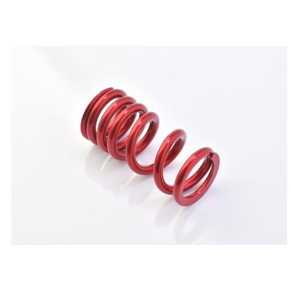 EFFEX エフェックス ローダウンキット TNT 249S BENELLI ベネリ サスペンション...