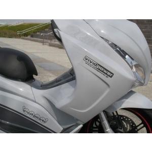 PCX(JF81KF30) デビルウイング : バイクカスタムパーツ コタニ PCX(JF81KF30) デビルウイング : バイクカスタムパーツ コタニ