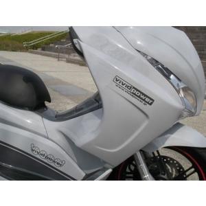 VIVIDPOWER VIVIDPOWER:ビビッドパワー サイドカウル T-1 PCX 125 P...