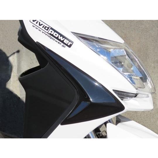 VIVIDPOWER ビビッドパワー フロントサイドプロテクター タイプ：黒ゲル磨き仕上げ／有り シ...