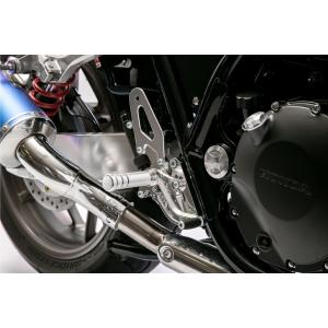 ホンダ（HONDA） モリワキ 0SK-ZX-MFP32 特別仕様 フレームホール