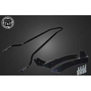 Garage T＆F T&F ガレージ アンダーカウルキット ドラッグスター