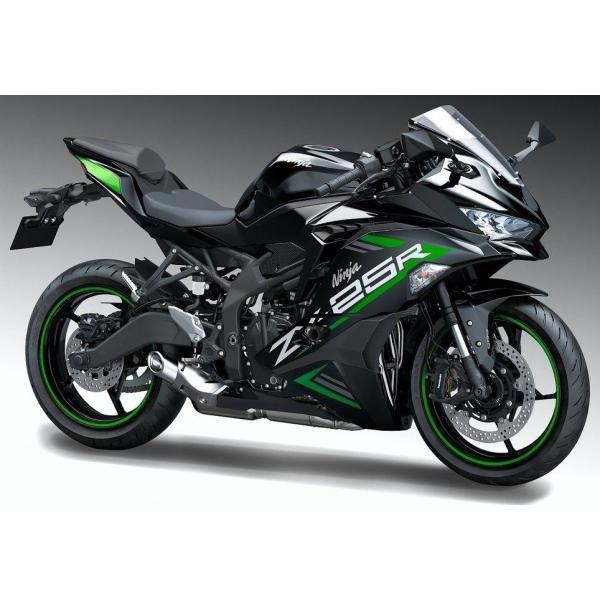K’s-STYLE ケイズスタイル デカールキット DK3 カラー：グリーン Ninja ZX-25...