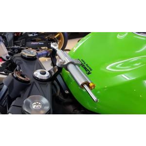 RSV racing アールエスブイレーシング Bracket Damper ZX6R-19 Ohl...