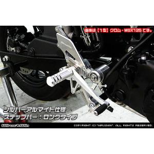 COERCE（コワース） フェンダーレスキット ZX-9R KAWASAKI カワサキ