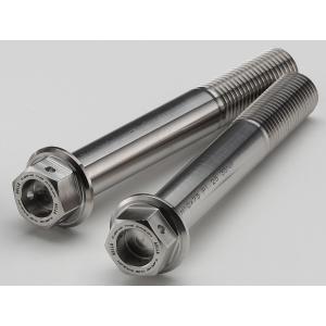 AELLA AELLA:アエラ チタンキャリパーボルト ZX-25R KAWASAKI