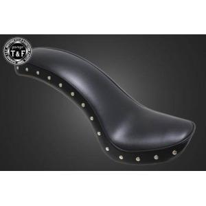 Garage T＆F ガレージ ティーアンドエフ ドラッグスター250 コブラ