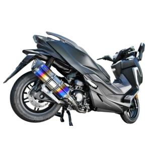 パニガーレ　カーボンエキゾーストヒートガード PANIGALE V4.V4S 2025：エキゾーストヒートガード 28.5PLUS / カーボン