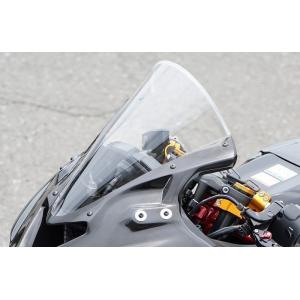 EIGHT(才谷屋) エイト(サイタニヤ) スクリーン ZX-25R KAWASAKI カワサキ 外...