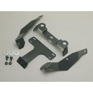 ADIO アディオ フエンダーレスキット タイプ：スリムリフレクターなし (純正リフレクター仕様) ...