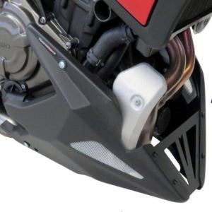 才谷屋ファクトリー S1000RR アンダーカウル 仕様 カーボン（綾織
