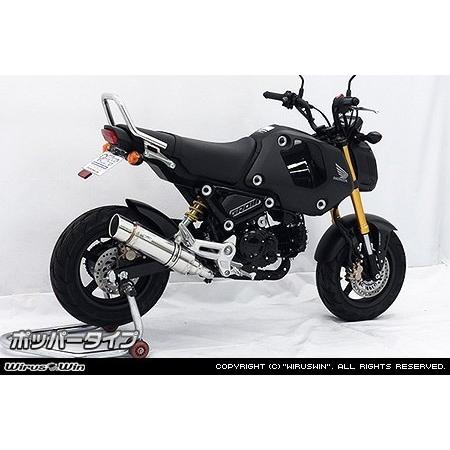 WirusWin ウイルズウィン スリップオンマフラー サイレンサーオプション：ブラックカーボン仕様...