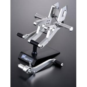 TSR テクニカルスポーツレーシング 4ポジションバックステップ カラー：シルバー CB1000R ...