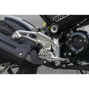 Agras AGRAS アグラス レーシングスライダー カラー：ブラック / ロゴ